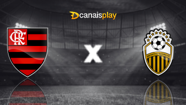 Assistir Flamengo x Deportivo Táchira ao vivo online 28/05/2025